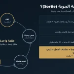 ماذا تعني كلمة «Sortie» في الطيران العسكري؟ ولماذا تقيس بها الجيوش نشاطها؟