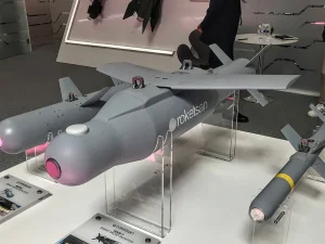 MAM-L أم Hellfire؟ مقارنة شاملة: المدى والسعر والفروق التقنية