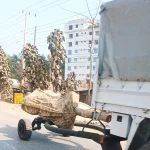 شركة MKE (MKE): الملكية والمنتجات والإيرادات