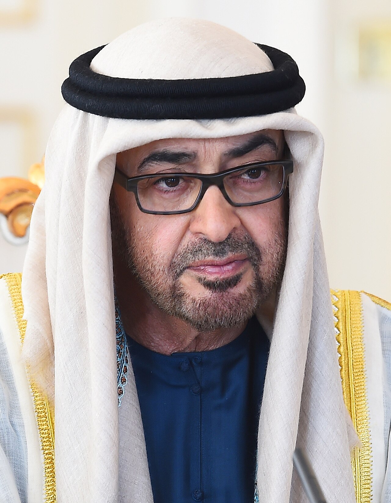 رئيس دولة الإمارات الشيخ محمد بن زايد آل نهيان - صورة أرشيفية