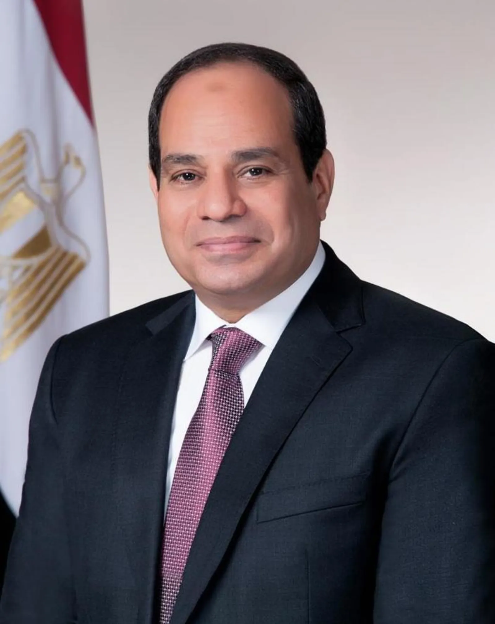 صورة رسمية للرئيس المصري عبد الفتاح السيسي
